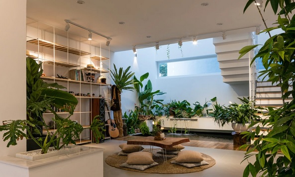 Xu hướng mới sử dụng nội thất kết nối với thiên nhiên