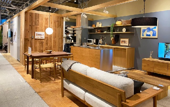 Xu hướng sử dụng nội thất nhanh